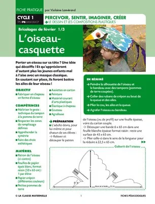 L'oiseau casquette