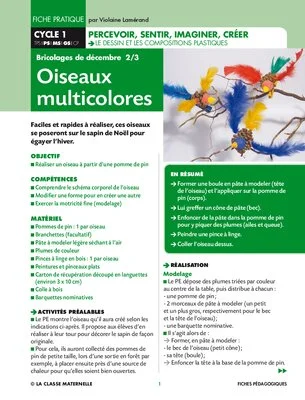 Oiseaux multicolores