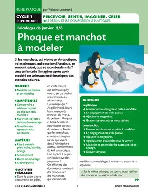 Phoque et manchot à modeler