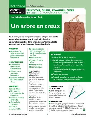Un arbre en creux
