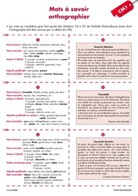 Une année de dictées CM1 octobre