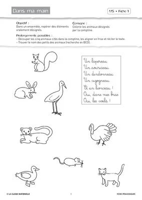 Attention visuelle MS Septembre Octobre