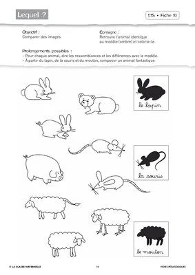 Attention visuelle MS Septembre Octobre