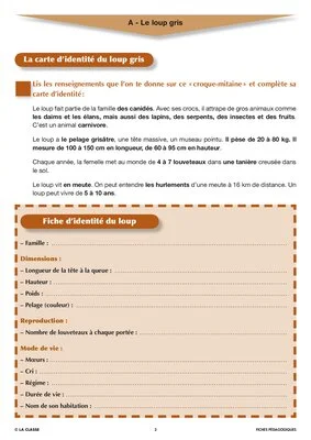 Artus et Ninon (1). Le loup