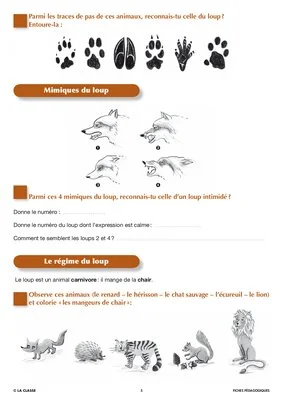 Artus et Ninon (1). Le loup