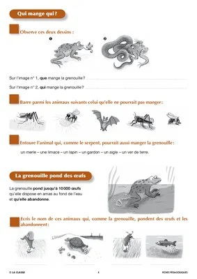 Artus et Ninon (2). La grenouille