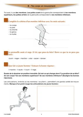 Artus et Ninon (2). La grenouille