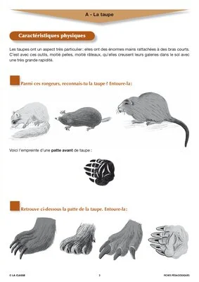 Artus et Ninon (5). La taupe