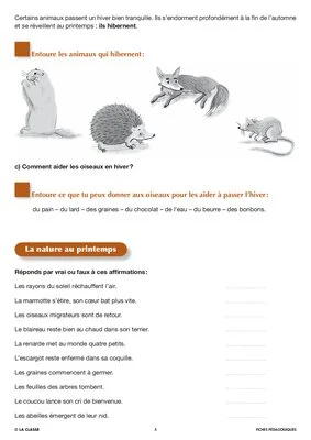 Artus et Ninon (7). Le loir