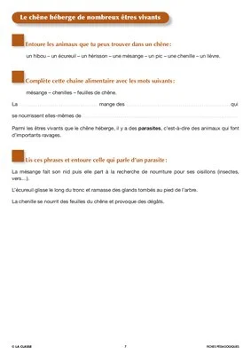 Artus et Ninon (8). La chouette