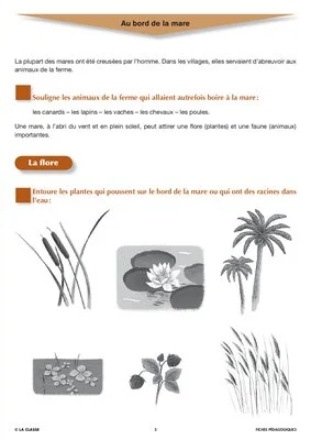Arus et Ninon (9). La mouche