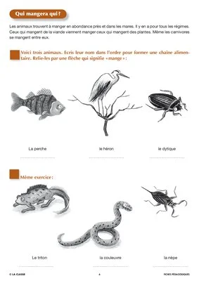 Arus et Ninon (9). La mouche