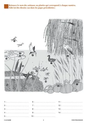 Arus et Ninon (9). La mouche
