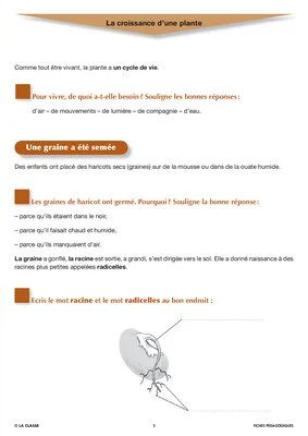 Artus et Ninon (10). La coccinelle