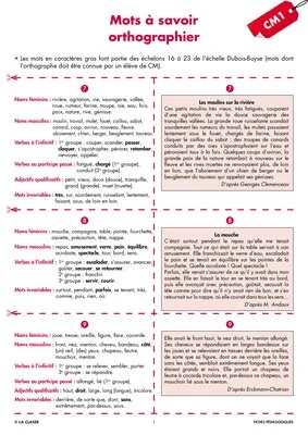 Une année de dictées CM1 novembre