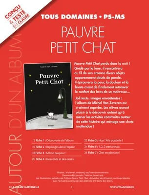Pauvre Petit Chat
