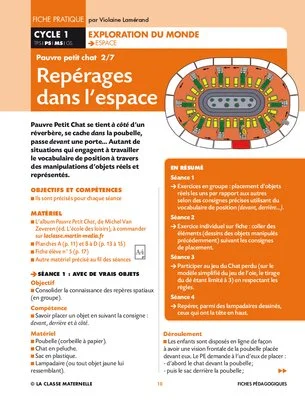 Pauvre Petit Chat