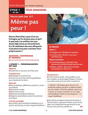 Pauvre Petit Chat