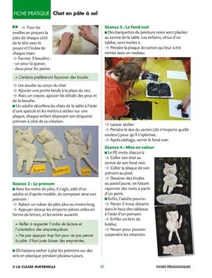 Pauvre Petit Chat