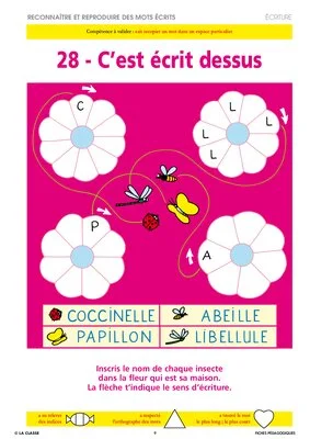 Graphisme écriture GS ~ Cahiers malins