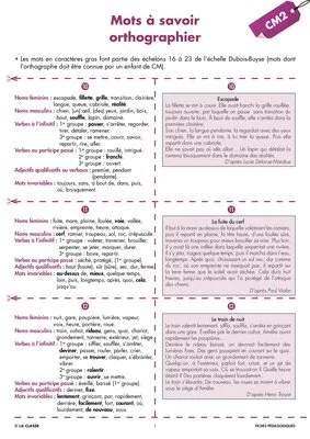Une année de dictées CM2 décembre