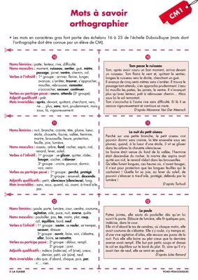Une année de dictées CM1 décembre