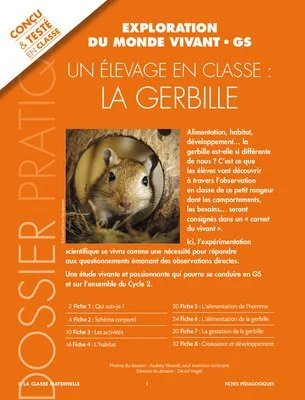 Un élevage en classe : la gerbille