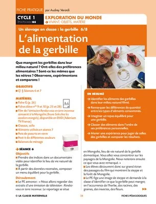 Un élevage en classe : la gerbille