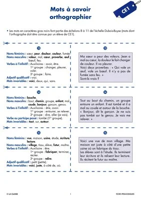 Une année de dictées CE1 janvier