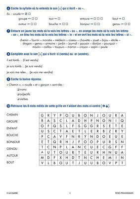Une année de dictées CE1 janvier