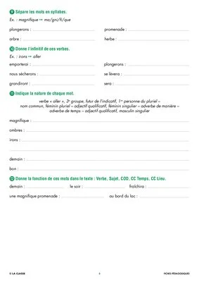 Une année de dictées CE2 janvier