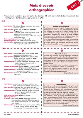 Une année de dictées CM1 janvier
