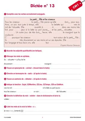 Une année de dictées CM1 janvier