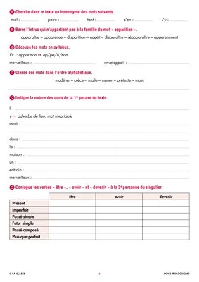 Une année de dictées CM1 janvier