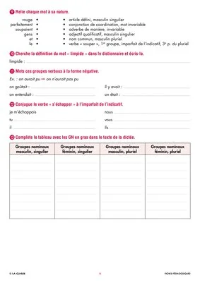 Une année de dictées CM1 janvier
