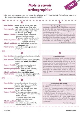 Une année de dictées CM2 janvier