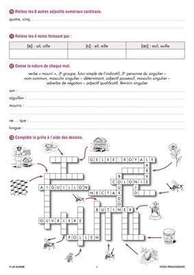 Une année de dictées CM2 janvier