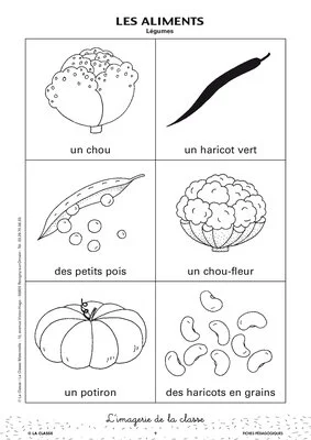 L'imagerie : les aliments