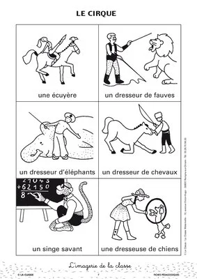 L'imagerie : le cirque