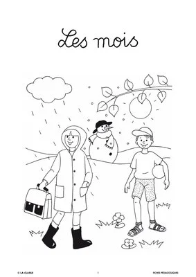 L'imagerie : les mois
