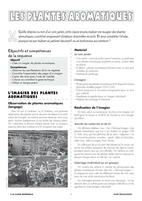 Découp'images: les plantes aromatiques
