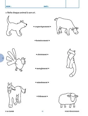Ça sert à quoi un kangourou ?