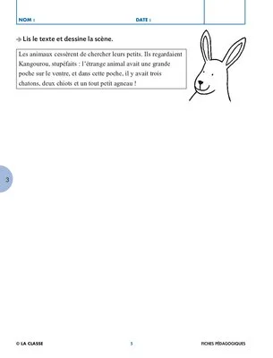Ça sert à quoi un kangourou ?