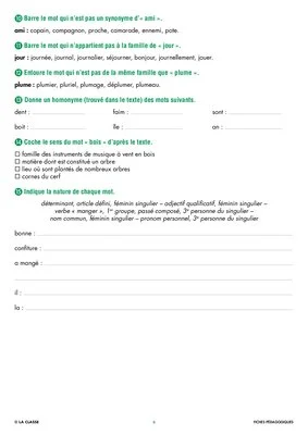 Une année de dictées CE2 février