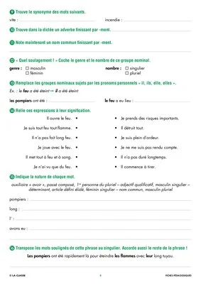 Une année de dictées CE2 février