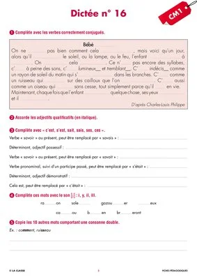 Une année de dictées CM1 février