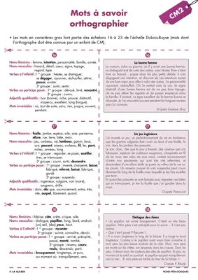 Une année de dictées CM2 février