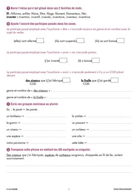 Une année de dictées CM2 février