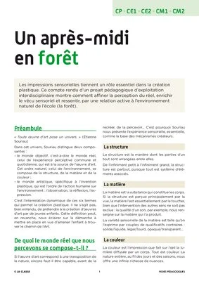 Un après-midi en forêt