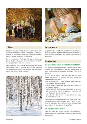 Un après-midi en forêt